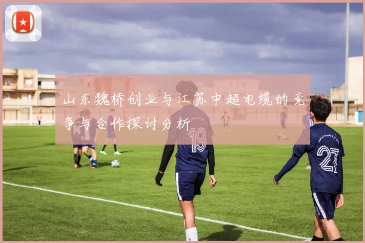 山东魏桥创业与江苏中超电缆的竞争与合作探讨分析