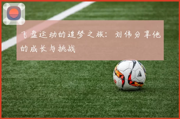 飞盘运动的追梦之旅：刘伟分享他的成长与挑战