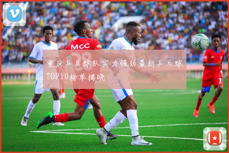 重庆乒乓球队实力强劲最新乒乓球TOP10榜单揭晓