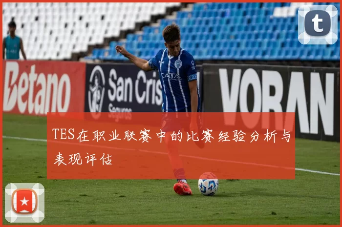 TES在职业联赛中的比赛经验分析与表现评估