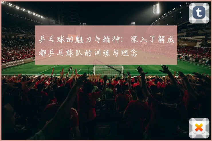 乒乓球的魅力与精神：深入了解成都乒乓球队的训练与理念