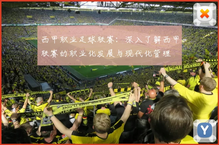 西甲职业足球联赛：深入了解西甲联赛的职业化发展与现代化管理