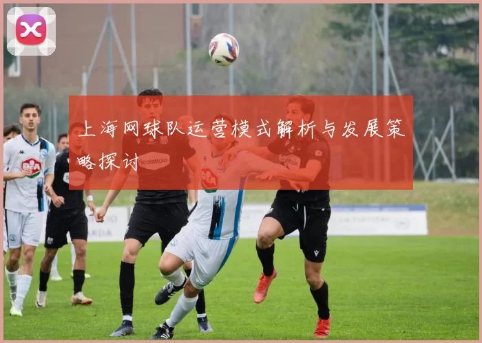 上海网球队运营模式解析与发展策略探讨