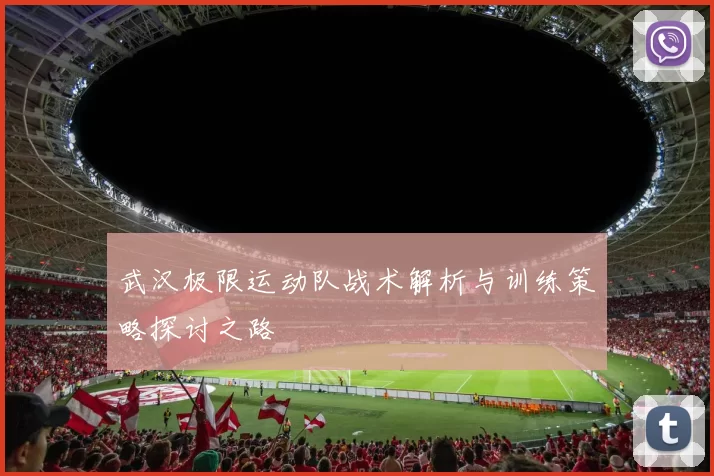 武汉极限运动队战术解析与训练策略探讨之路