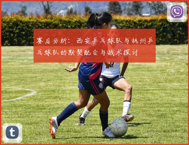 赛后分析：西安乒乓球队与杭州乒乓球队的默契配合与战术探讨