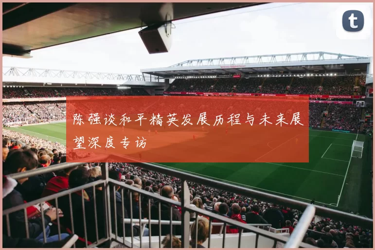 陈强谈和平精英发展历程与未来展望深度专访