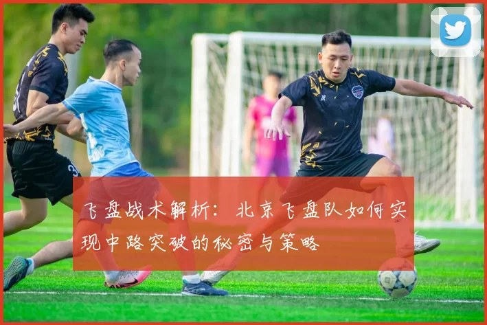 飞盘战术解析：北京飞盘队如何实现中路突破的秘密与策略