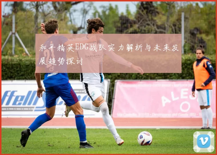 和平精英EDG战队实力解析与未来发展趋势探讨