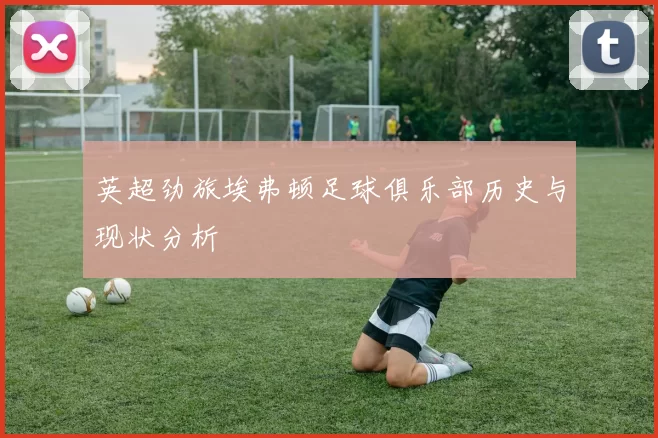 英超劲旅埃弗顿足球俱乐部历史与现状分析
