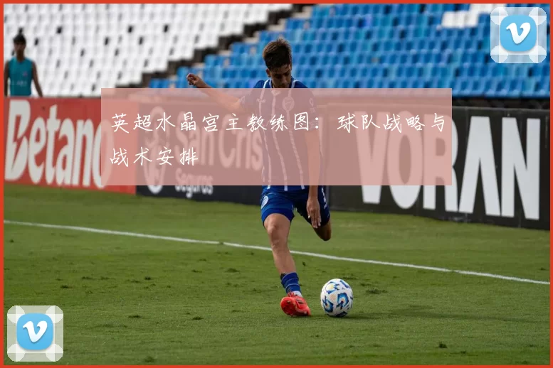 英超水晶宫主教练图：球队战略与战术安排